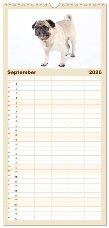 Produktbild: Familienplaner 2026 - Mops - unwiderstehlich und charmant mit 5 Spalten (Wandkalender, 21 x 45 cm) CALVENDO