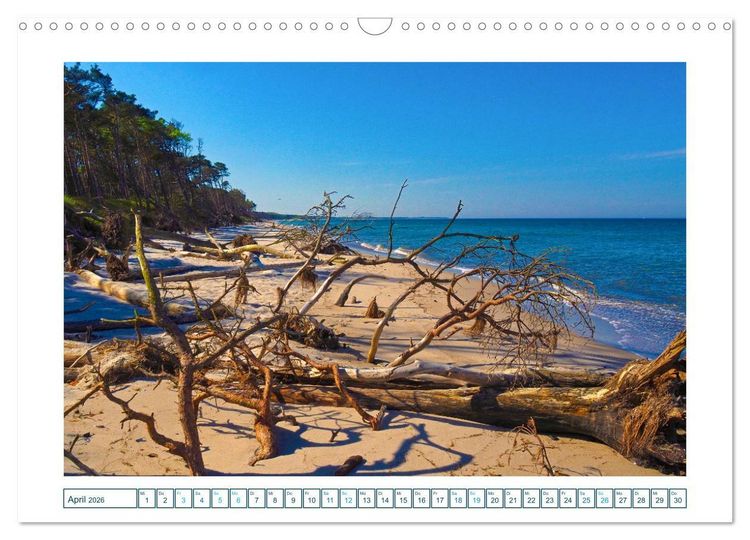 Produktbild: Der Weststrand am Dar&szlig; (Wandkalender 2026 DIN A3 quer), CALVENDO Monatskalender