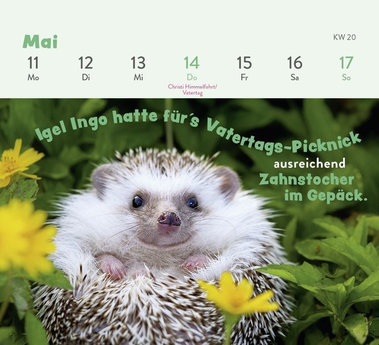 Produktbild: Mini-Wochenkalender 2026: Tierisch gechillt!
