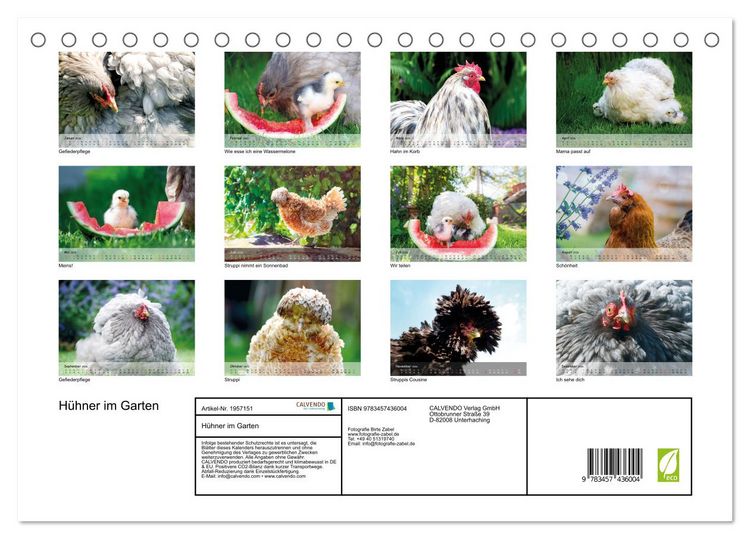 Produktbild: H&uuml;hner im Garten (Tischkalender 2026 DIN A5 quer), CALVENDO Monatskalender