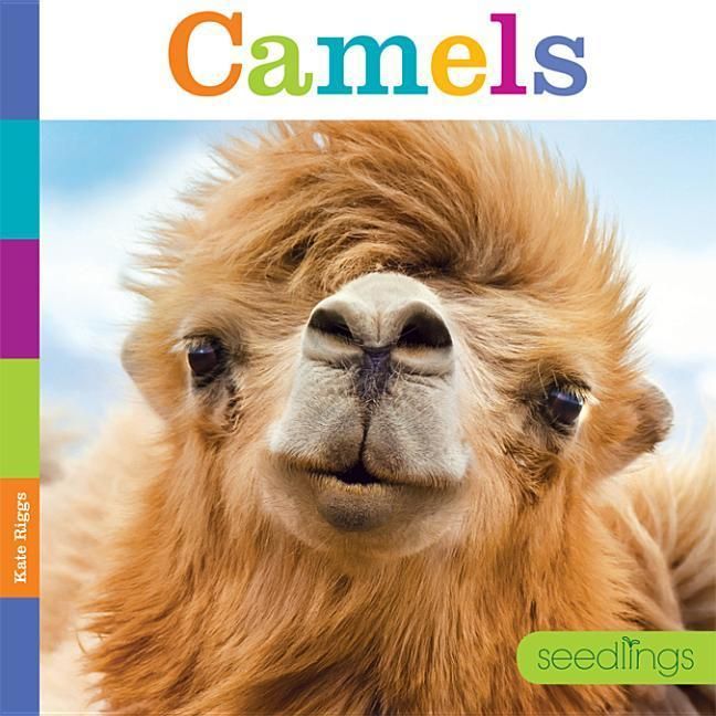 Produktbild: Seedlings: Camels
