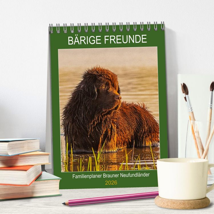Produktbild: B&auml;rige Freunde - Familienplaner Brauner Neufundl&auml;nder (Tischkalender 2026 DIN A5 hoch), CALVENDO Monatskalender