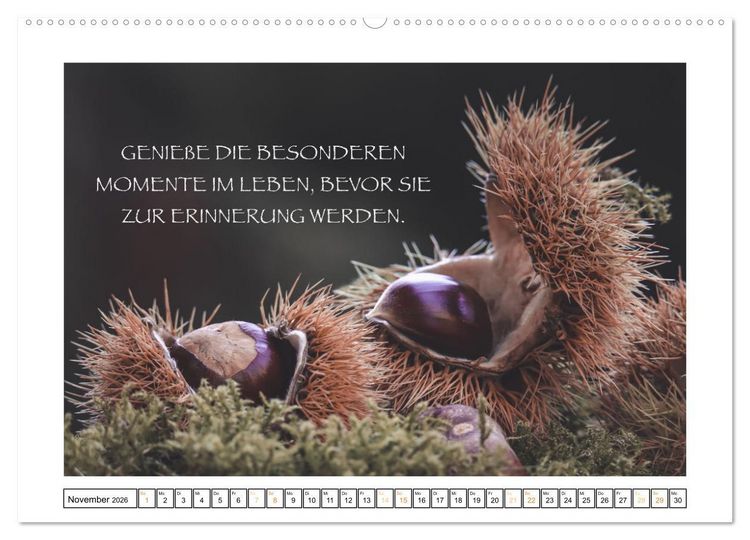 Produktbild: Spruch verliebt (hochwertiger Premium Wandkalender 2026 DIN A2 quer), Kunstdruck in Hochglanz