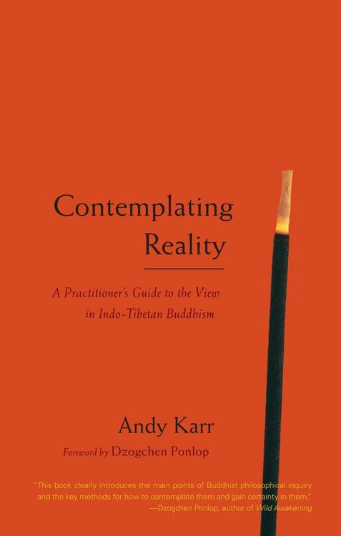 Produktbild: Contemplating Reality