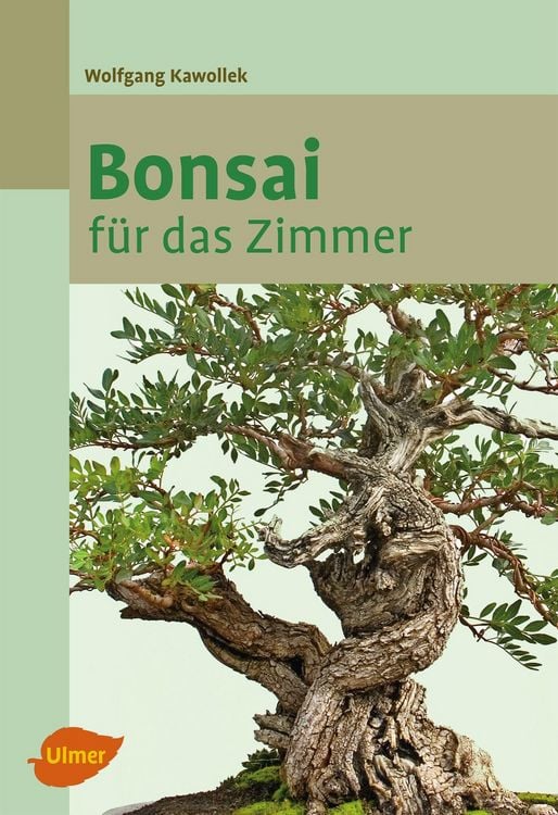 bambus center mnchen Umweltfreundliche Bambus Schssel 30cm. Handgemachte Bambusschale  Maison  Brmond