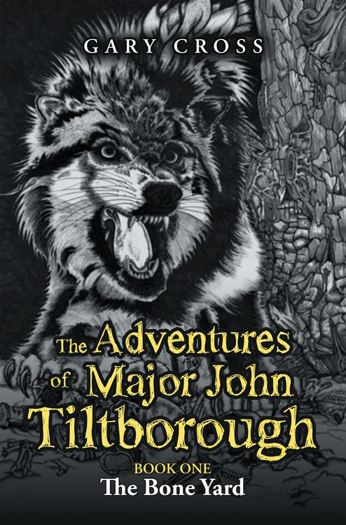 Produktbild: The Adventures of Major John Tiltborough