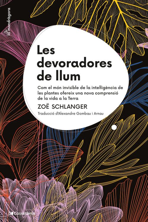 Produktbild: Les devoradores de llum