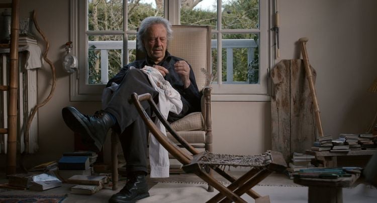 Produktbild: Peter Handke - Bin im Wald. Kann sein, da&szlig; ich mich versp&auml;te