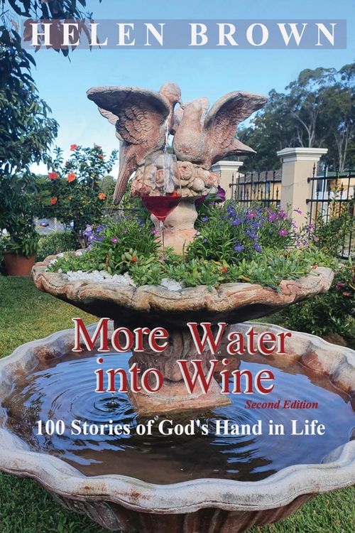Produktbild: More Water into Wine
