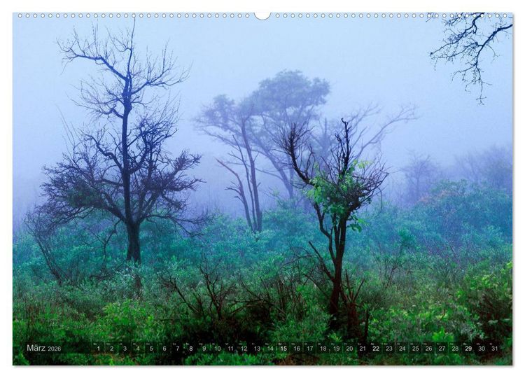 Produktbild: Namibia - Die Landschaft (Wandkalender 2026 DIN A2 quer), CALVENDO Monatskalender