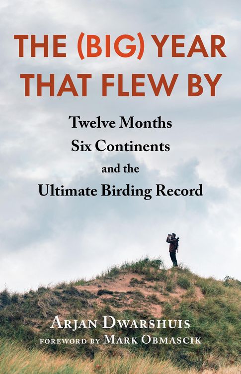 Produktbild: The (Big) Year that Flew By