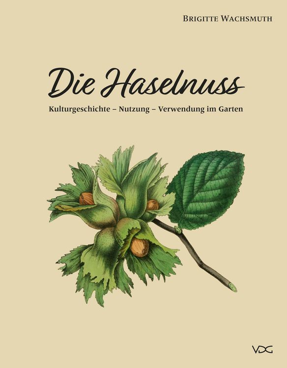 Produktbild: Die Haselnuss