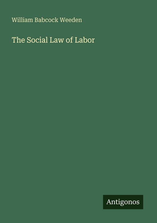 Produktbild: The Social Law of Labor
