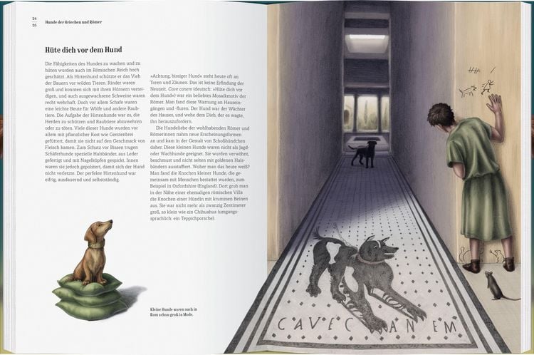 Produktbild: Wie der Hund zu uns kam
