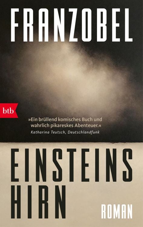 Produktbild: Einsteins Hirn