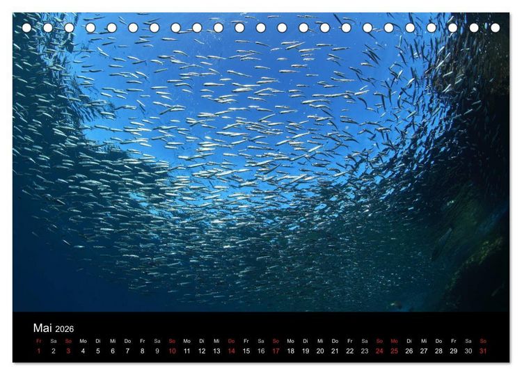Produktbild: Bilder der Tiefe 2026 (Tischkalender 2026 DIN A5 quer), CALVENDO Monatskalender