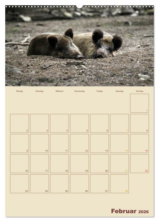 Produktbild: Wildschweine (hochwertiger Premium Wandkalender 2026 DIN A2 hoch), Kunstdruck in Hochglanz
