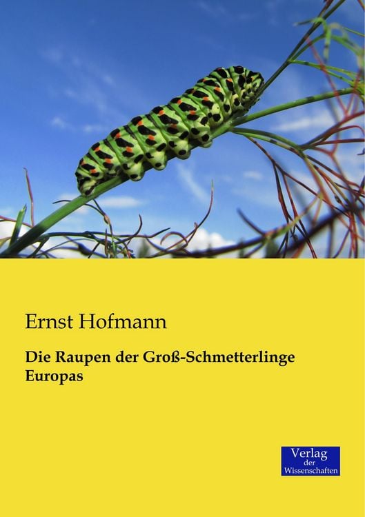 Produktbild: Die Raupen der Gro&szlig;-Schmetterlinge Europas