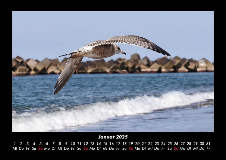 Produktbild: Meereslandschaft 2025 Fotokalender DIN A3