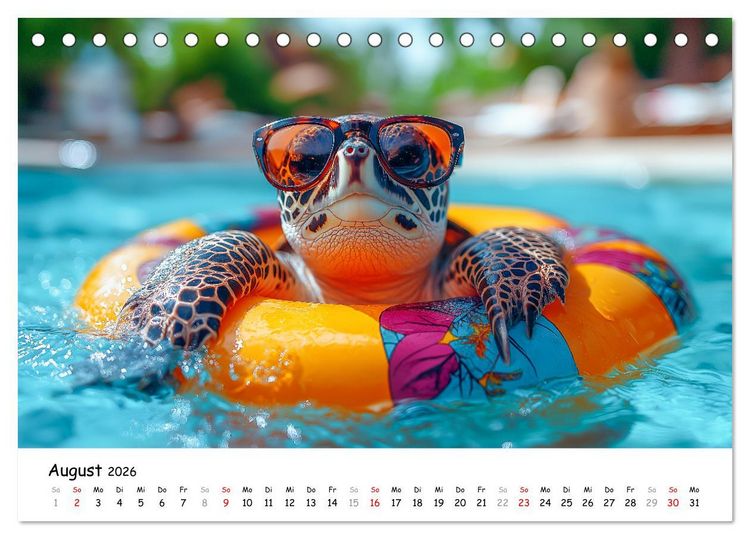 Produktbild: CHILL MAL - Entspannte Schildkr&ouml;ten beim Faulenzen (Tischkalender 2026 DIN A5 quer), CALVENDO Monatskalender