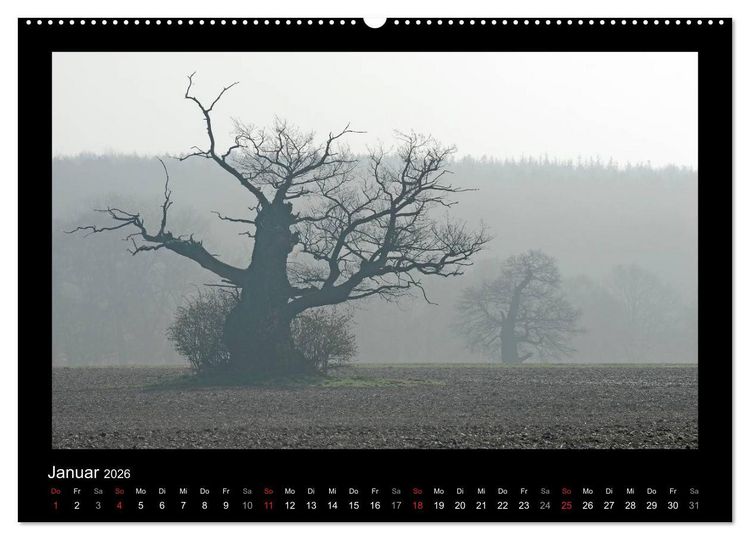 Produktbild: M&auml;rchenhafter Reinhardswald und Urwald Sababurg (hochwertiger Premium Wandkalender 2026 DIN A2 quer), Kunstdruck in Hochglanz