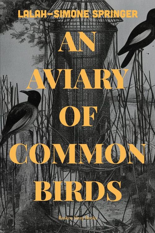 Produktbild: An Aviary of Common Birds