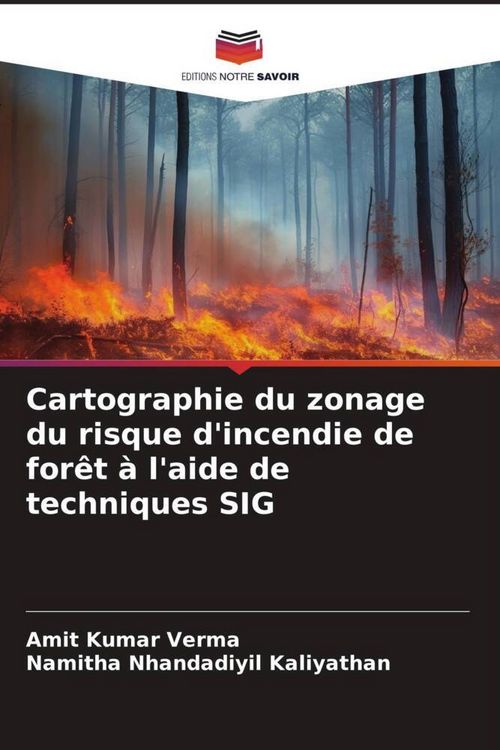 Produktbild: Cartographie du zonage du risque d'incendie de for&ecirc;t &agrave; l'aide de techniques SIG
