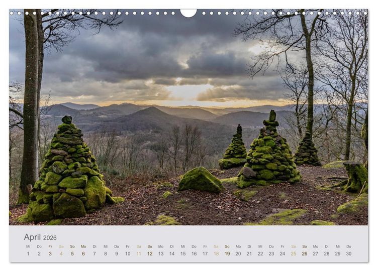 Produktbild: Augenblicke im Pf&auml;lzerwald (Wandkalender 2026 DIN A3 quer), CALVENDO Monatskalender