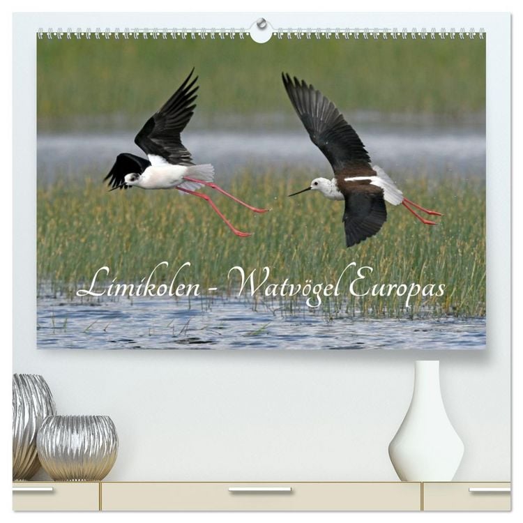 Produktbild: Limikolen - Watv&ouml;gel Europas (hochwertiger Premium Wandkalender 2026 DIN A2 quer), Kunstdruck in Hochglanz