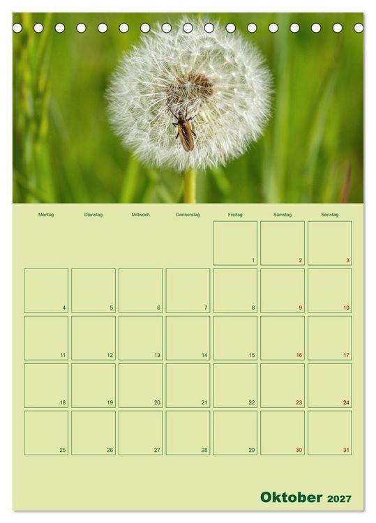 Produktbild: Die Welt der Insekten (Tischkalender 2027 DIN A5 hoch), CALVENDO Monatskalender