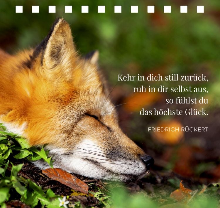 Produktbild: In der Ruhe liegt das Gl&uuml;ck