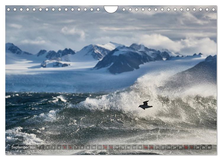 Produktbild: Svalbard-Momente (Wandkalender 2026 DIN A4 quer), CALVENDO Monatskalender