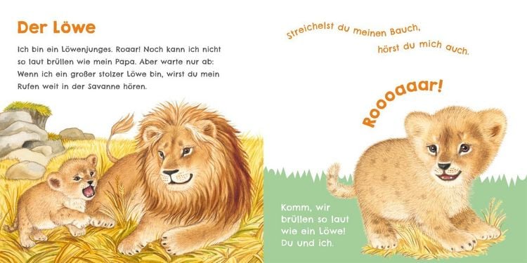 Produktbild: H&ouml;r mal, wie ich tr&ouml;ten kann (Mein erstes Streichel-Soundbuch 4)