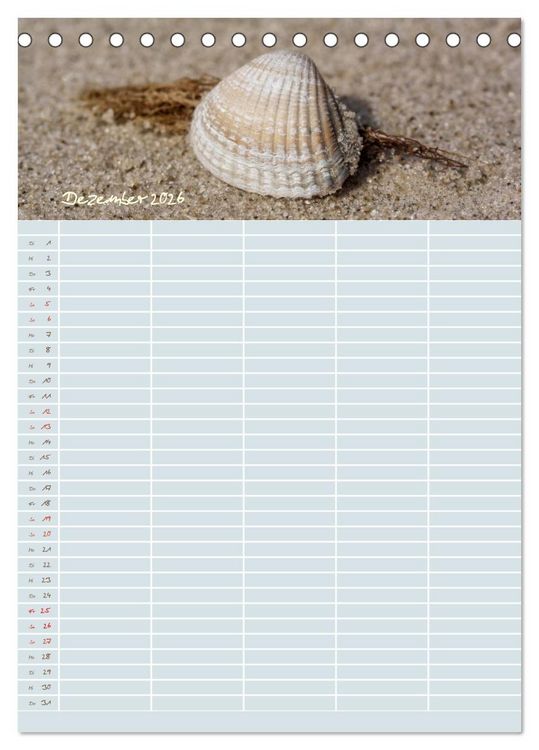 Produktbild: Kleine Sand-Sch&ouml;nheiten / Familienplaner (Tischkalender 2026 DIN A5 hoch), CALVENDO Monatskalender