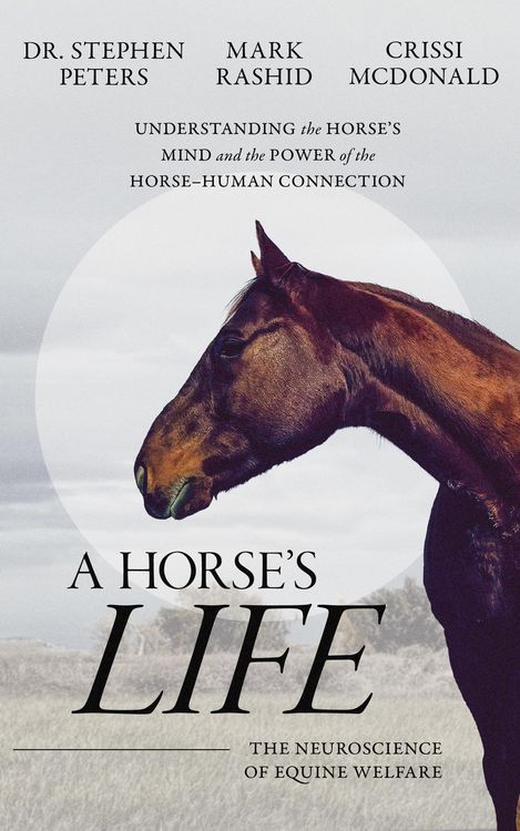 Produktbild: A Horse's Life