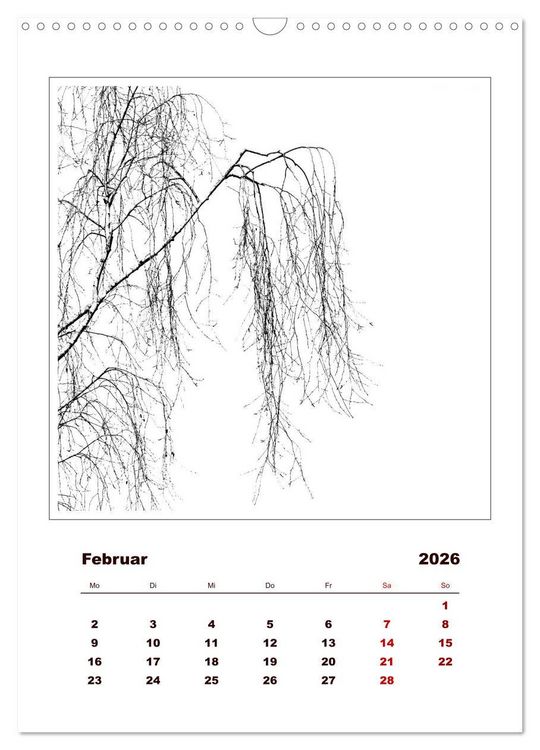 Produktbild: LignoGrafica - Muster und Strukturen der B&auml;ume (Wandkalender 2026 DIN A3 hoch), CALVENDO Monatskalender