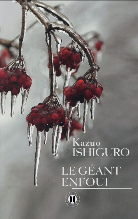 Produktbild: Le g&eacute;ant enfoui