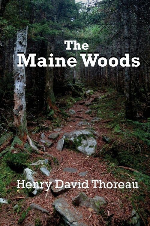 Produktbild: The Maine Woods - Journeys Through the Wilderness of New England