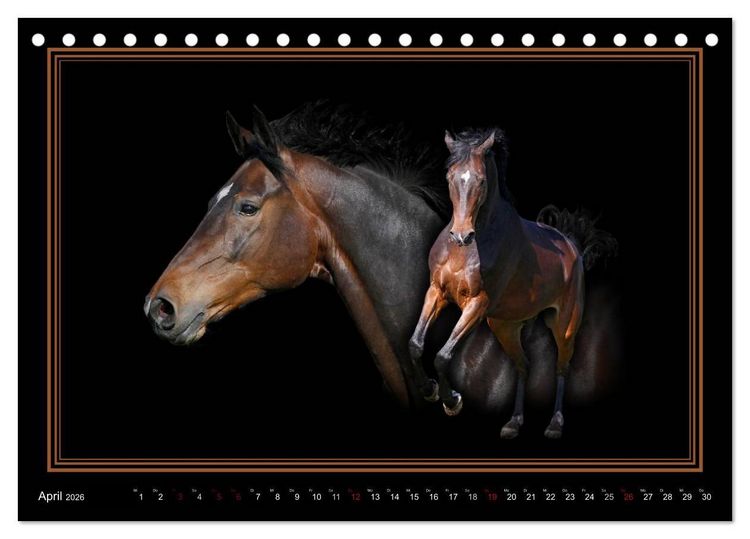 Produktbild: Traumpferde-ART-Collection (Tischkalender 2026 DIN A5 quer), CALVENDO Monatskalender