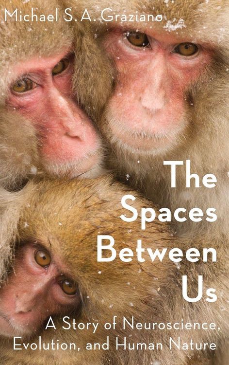 Produktbild: Spaces Between Us C