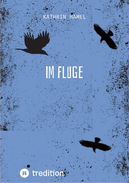 Produktbild: Im Fluge