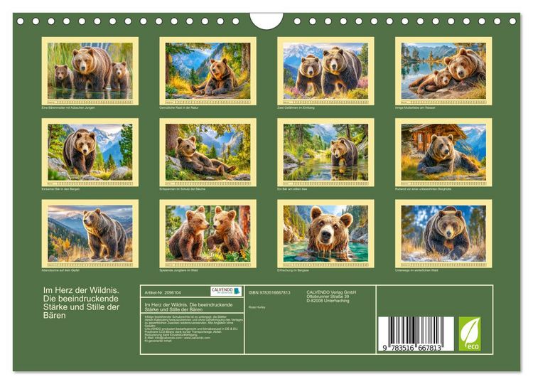 Produktbild: Im Herz der Wildnis. Die beeindruckende St&auml;rke und Stille der B&auml;ren (Wandkalender 2026 DIN A4 quer), CALVENDO Monatskalender