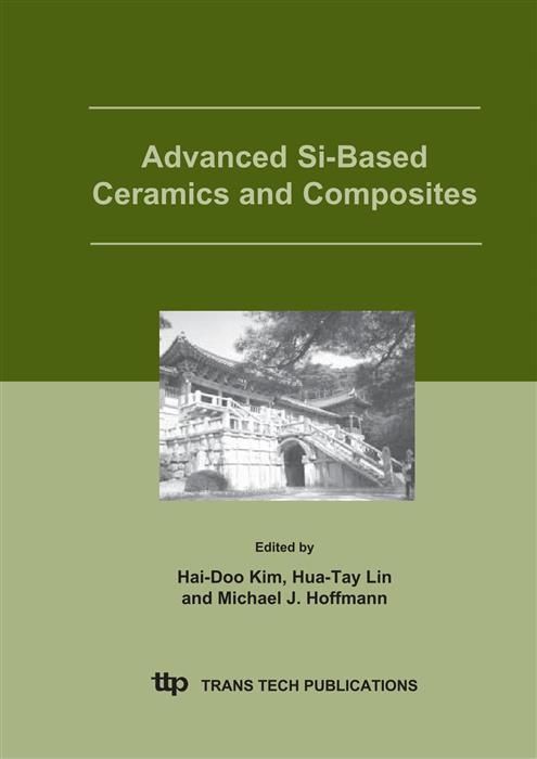 Produktbild: Advanced Si-Based Ceramics and Composites
