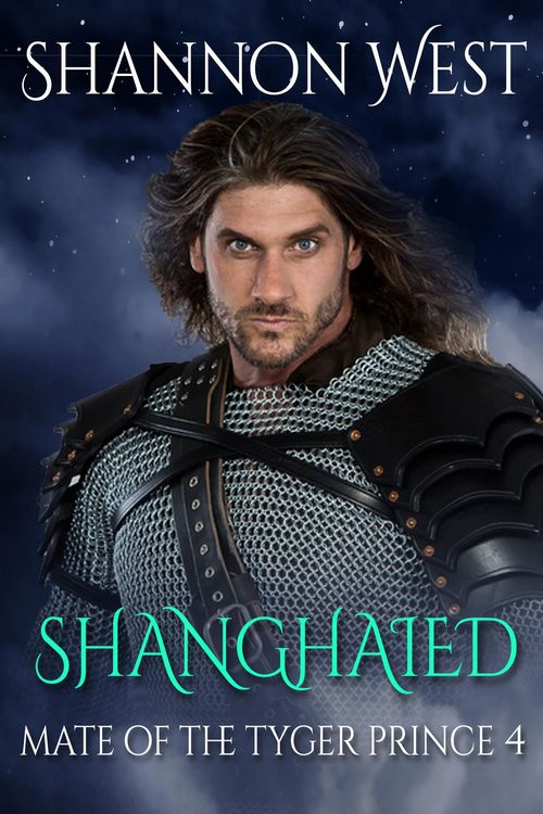 Produktbild: Shanghaied