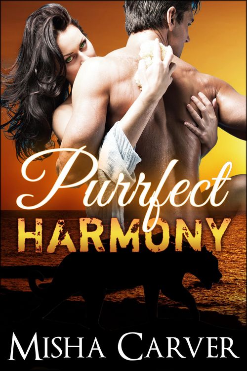 Produktbild: Purrfect Harmony (Purrfect Mates, #3)