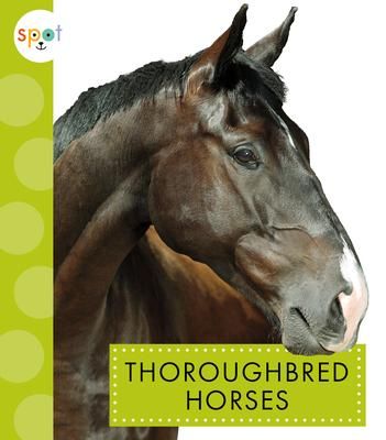 Produktbild: Thoroughbred Horses