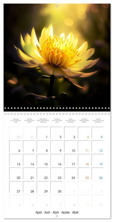 Produktbild: &Eacute;clats naturels (Calendrier mural carr&eacute; 2026 30x30 cm) Calendrier double avec une page pour vos prises de notes