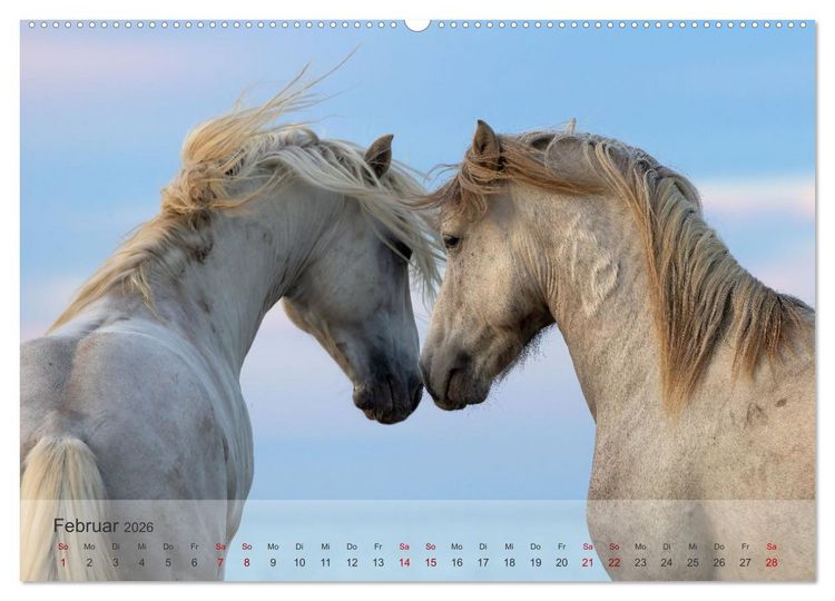 Produktbild: Die wei&szlig;en Pferde der Camargue (hochwertiger Premium Wandkalender 2026 DIN A2 quer), Kunstdruck in Hochglanz