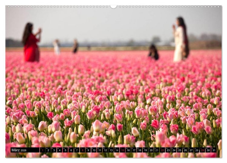Produktbild: Tulpen (hochwertiger Premium Wandkalender 2026 DIN A2 quer), Kunstdruck in Hochglanz