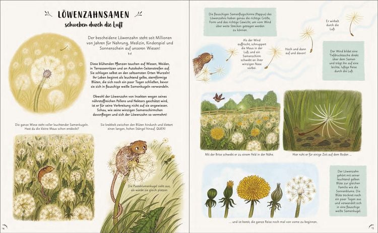 Produktbild: Wunder der Natur. Ein Augenblick zum Innehalten und Staunen